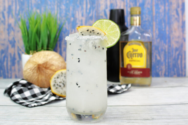 Coconut Dragon Fruit Margarita